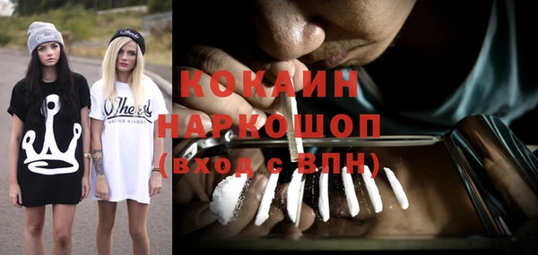 гидропоника Гусь-Хрустальный