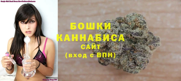 гидропоника Гусь-Хрустальный