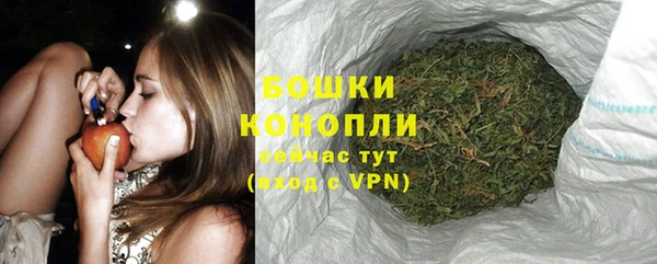 гидропоника Гусь-Хрустальный