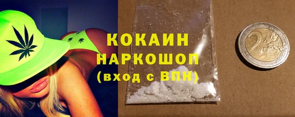 эйфоретик Гусев