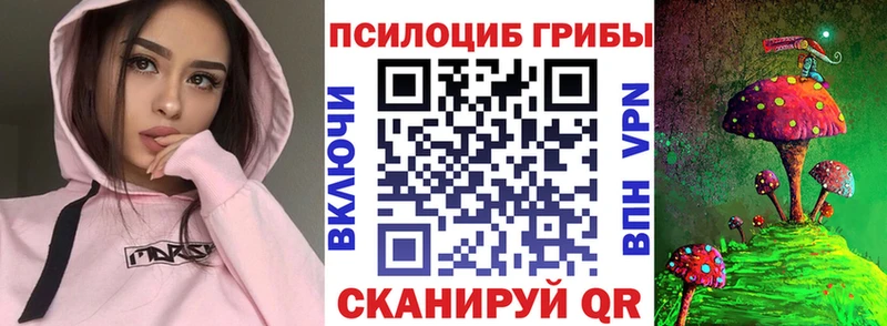 Псилоцибиновые грибы прущие грибы  Пласт 
